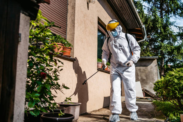 Best Commercial Pest Control Services  in Randolph Af, TX