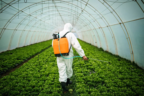 Best Local Pest Control Services  in Randolph Af, TX