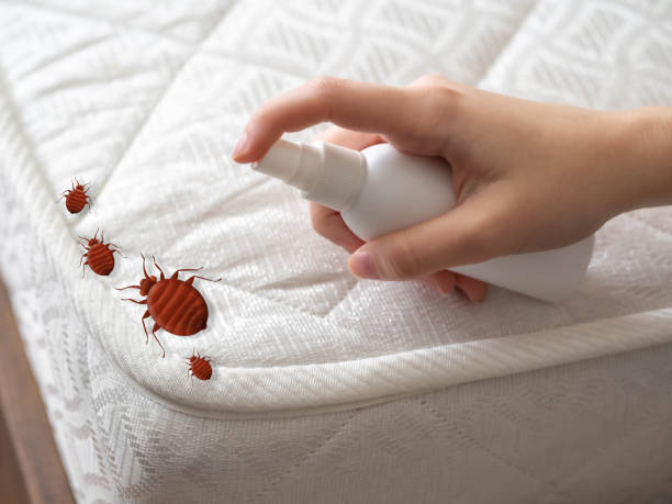Insect Control in Randolph Af, TX