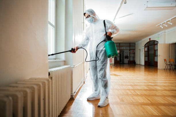 Best Pest Inspection Near Me  in Randolph Af, TX