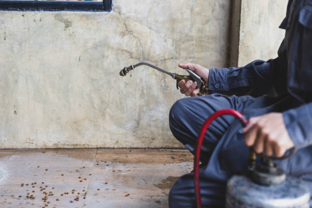 Best Pest Prevention Services  in Randolph Af, TX